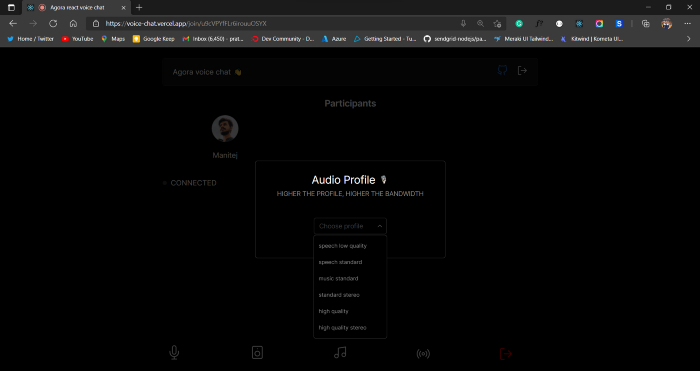 audio profiles